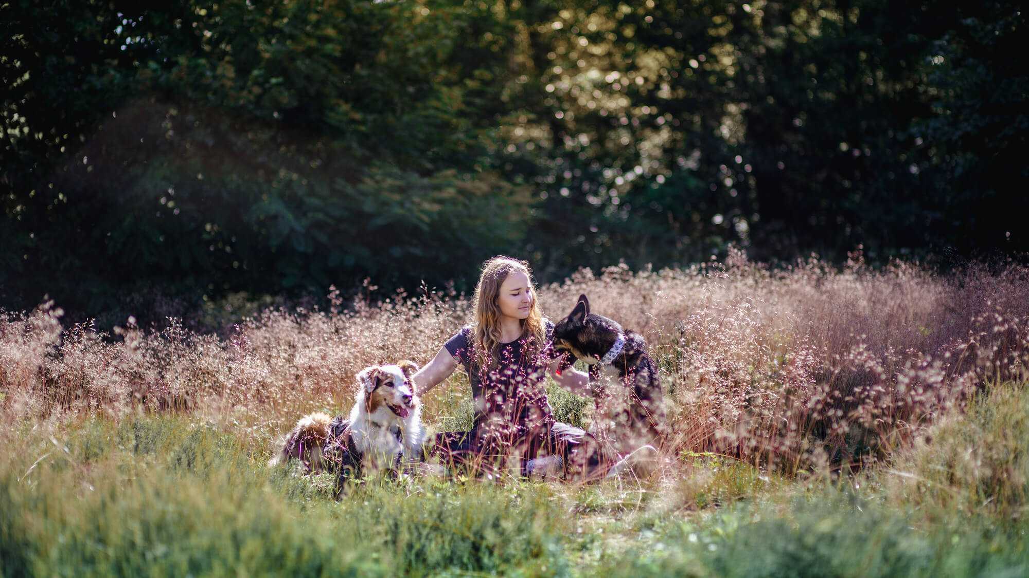 Dog-Qi Inhaberin Marie sitzt mit ihren Hunden Hope und Jimmy auf einer Wiese