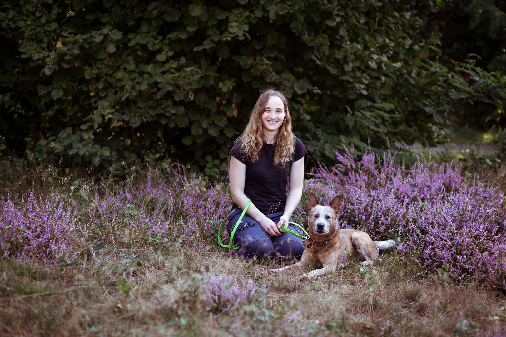 Dog-Qi Inhaberin Marie und Maya sitzen zusammen in der blühenden Heide