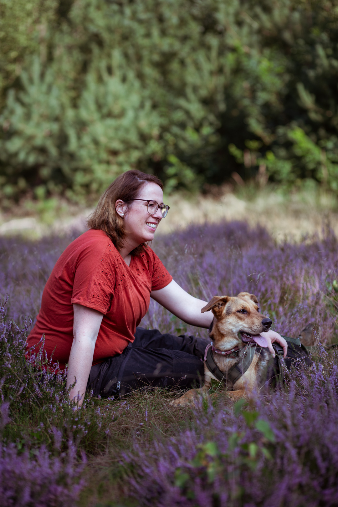 Dog-Qi Trainerin Yvonne sitzt mit ihrer Hündin Hazel in der blühenden Heide